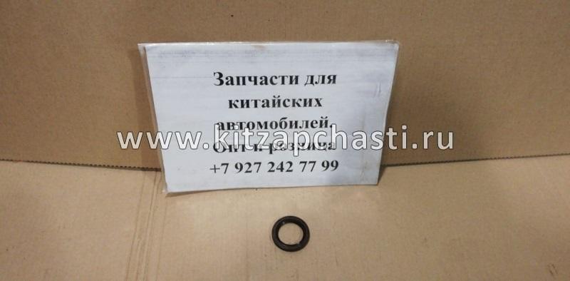 Сальник распредвала Geely GC6 E010130010